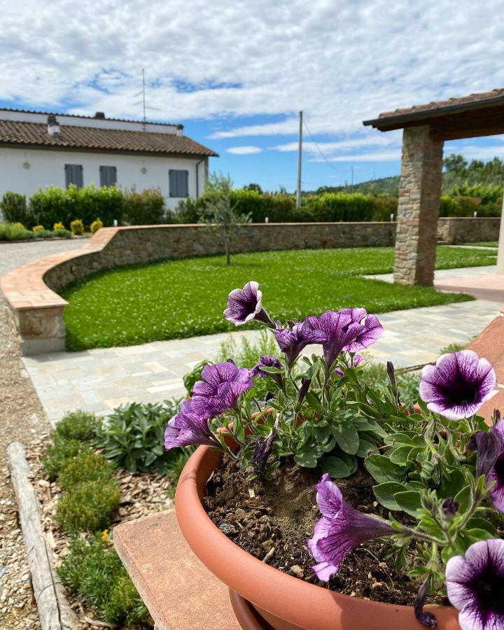 Appartement Il Cerro à Arezzo Extérieur photo
